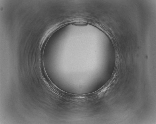 X0000071920055200607070930