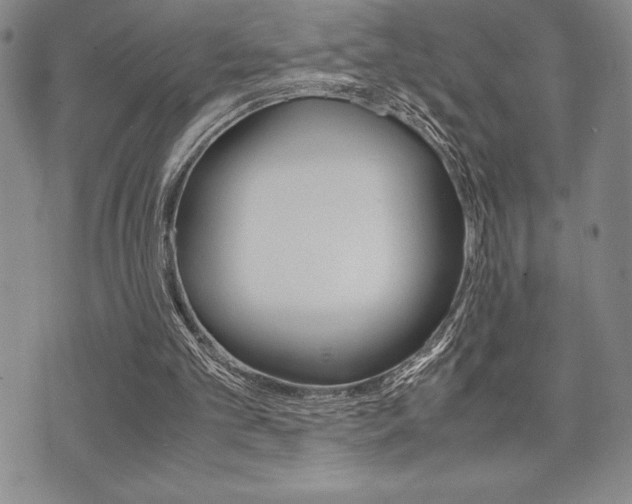X0000071920101200607070930