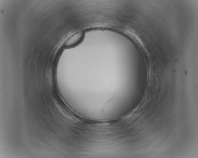 X0000071920108200607070930