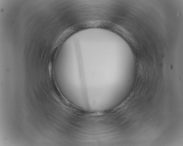 X0000071920118200607070930