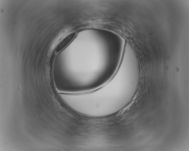 X0000071920150200607070929