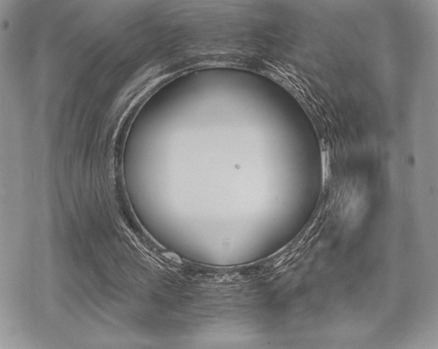 X0000071920243200607070927