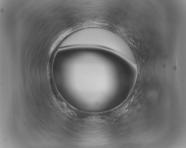 X0000071920244200607070927