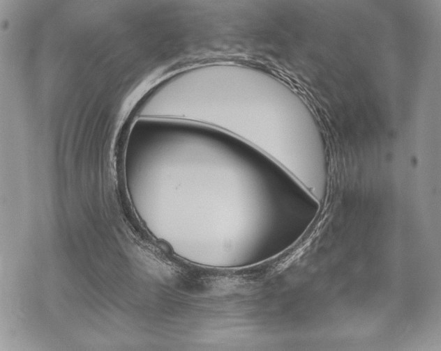 X0000071920246200607070927