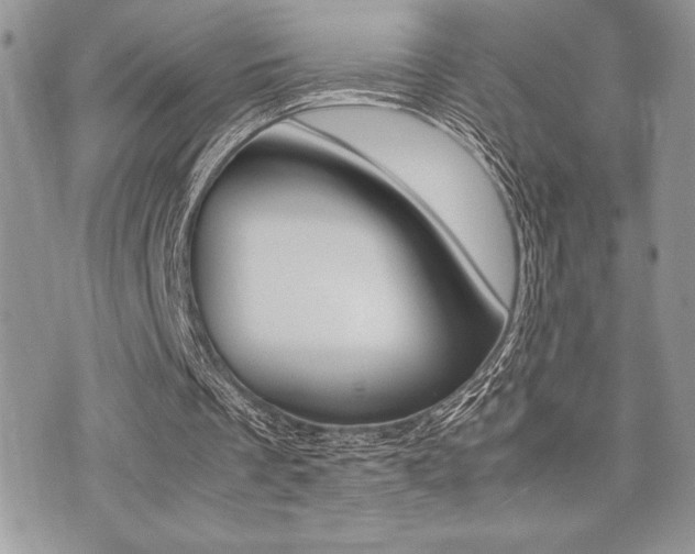 X0000071920289200607070927