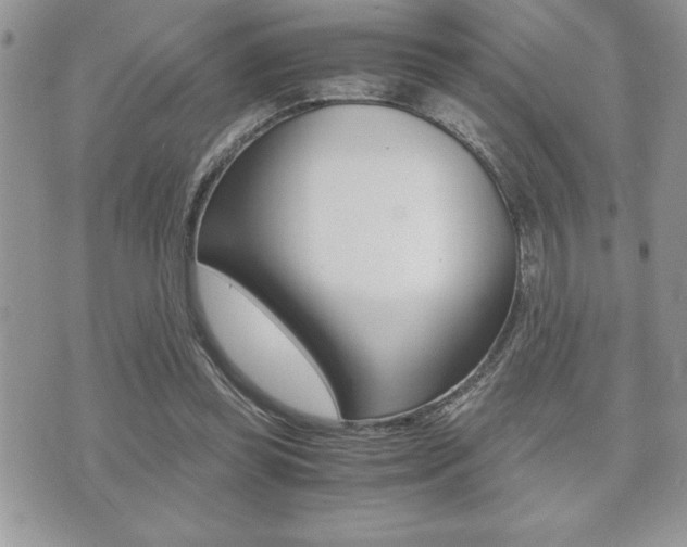 X0000071920349200607070926