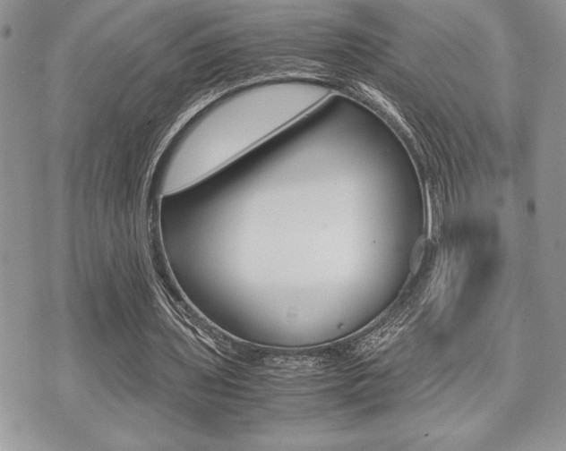 X0000071920435200607070924