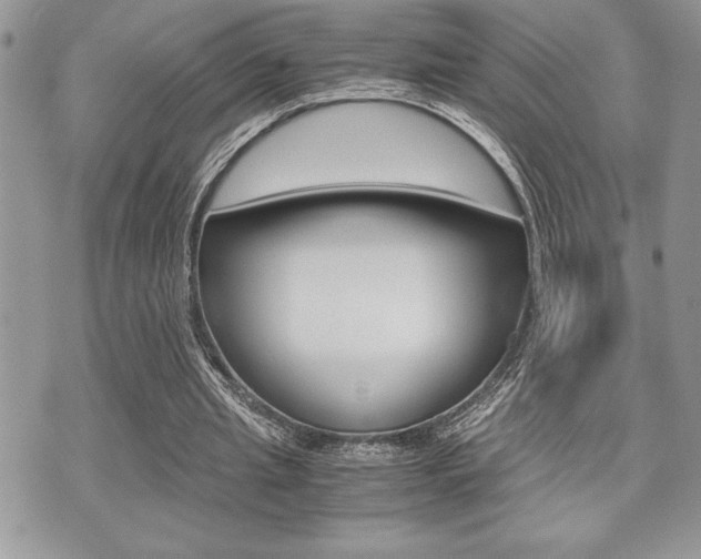 X0000071920437200607070924