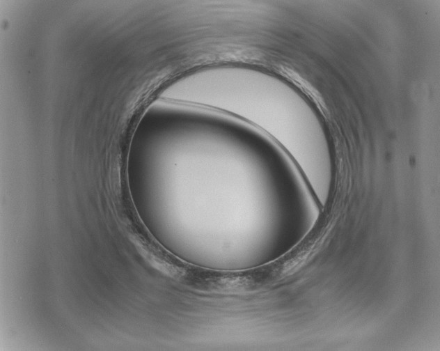 X0000071920493200607070924