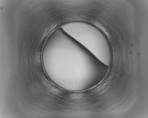 X0000071920537200607070922