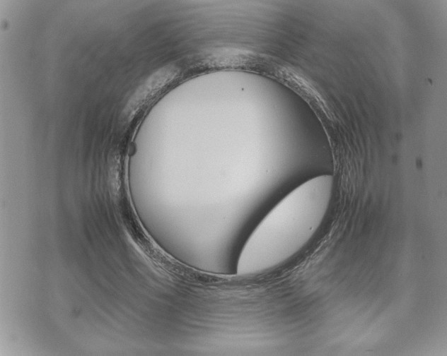 X0000071920586200607070922