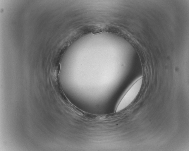 X0000071920613200607070922