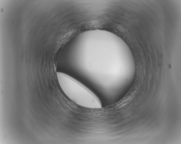 X0000071920624200607070922