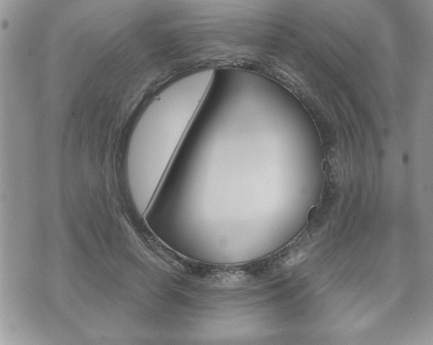 X0000071920642200607070921