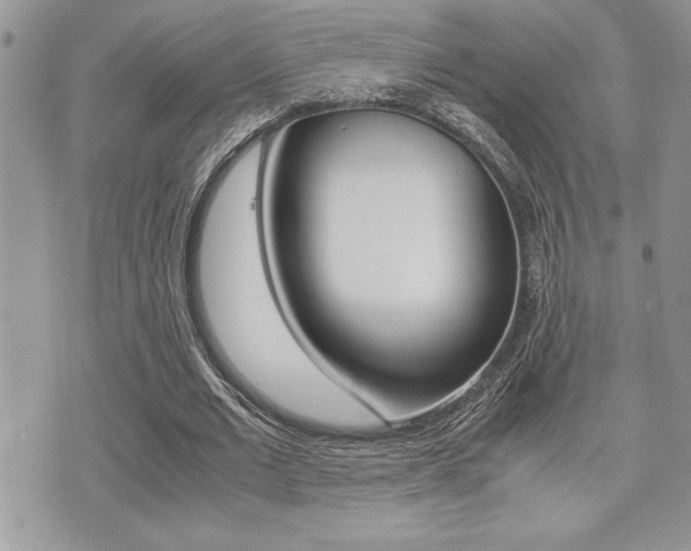 X0000071920677200607070921