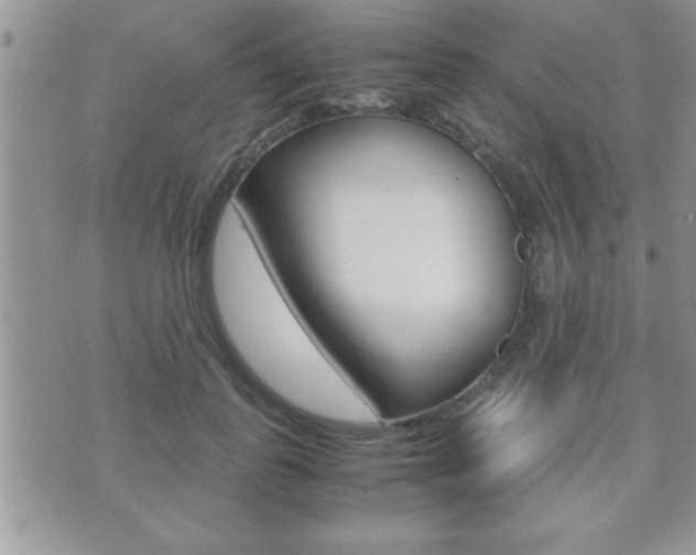 X0000071920747200607070920