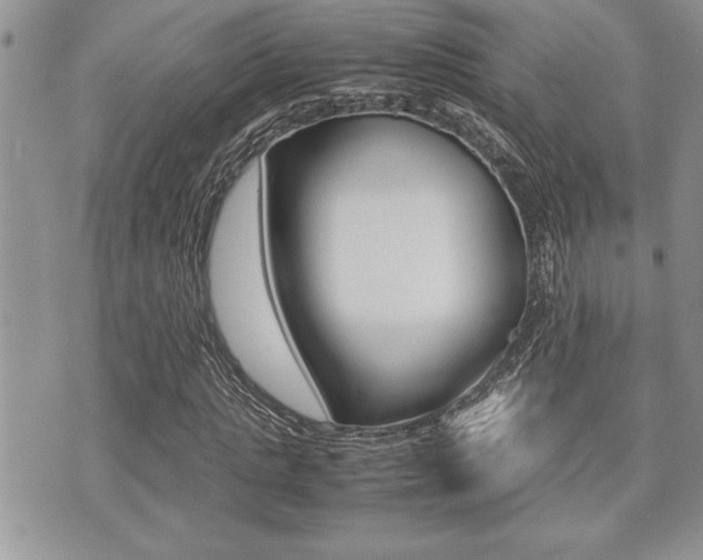 X0000071920821200607070918