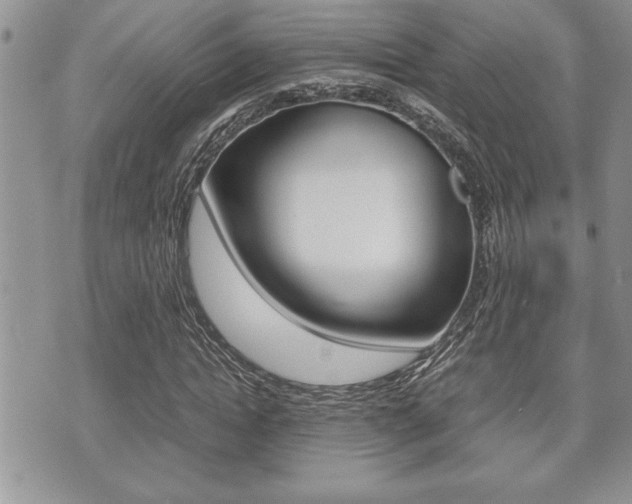 X0000071920822200607070918