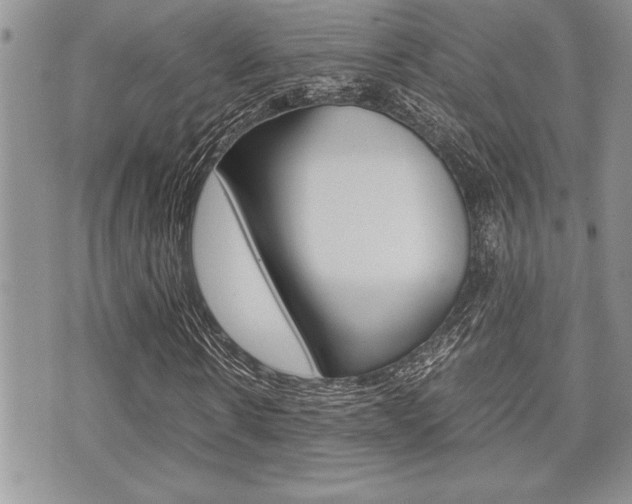 X0000071920914200607070916