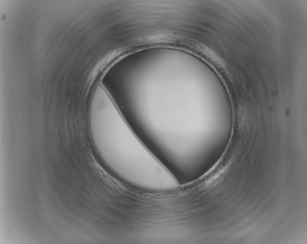 X0000071920930200607070916