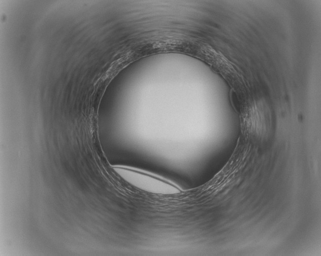 X0000071921012200607070915