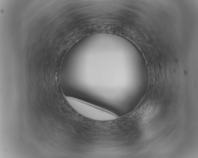 X0000071921013200607070915