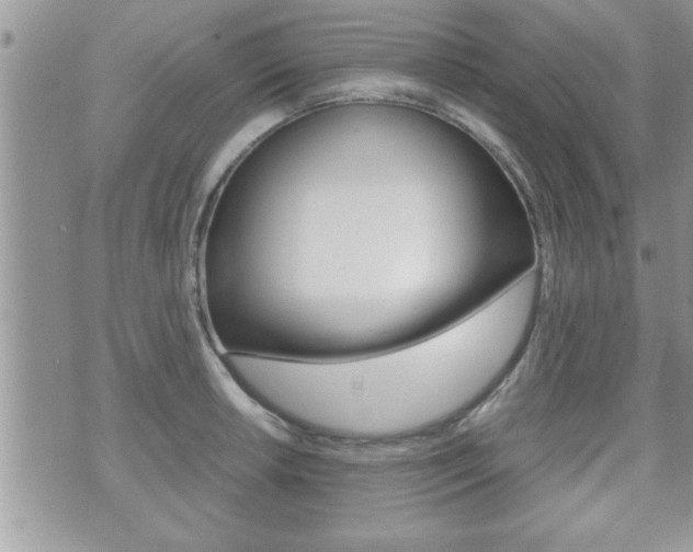 X0000071921042200607070915