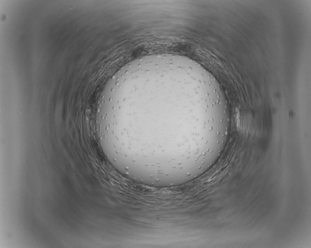 X0000071921059200607070914