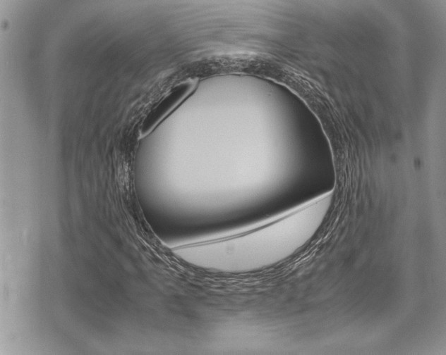X0000071921061200607070914