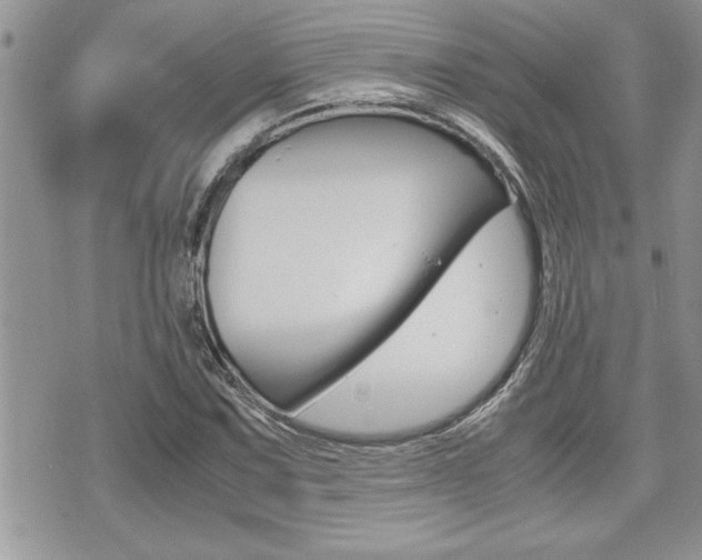 X0000071921067200607070914
