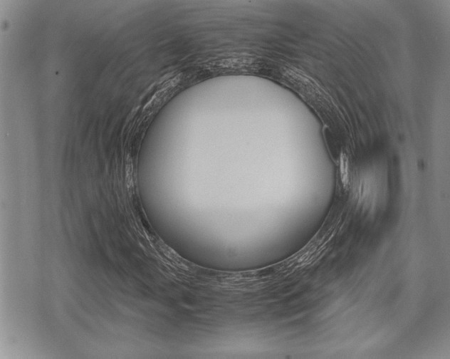 X0000071921107200607070913