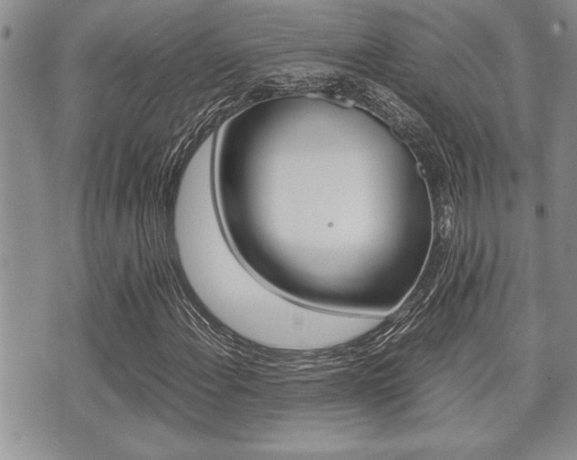 X0000071921108200607070913