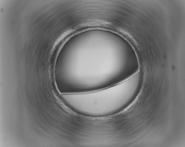 X0000071921114200607070913
