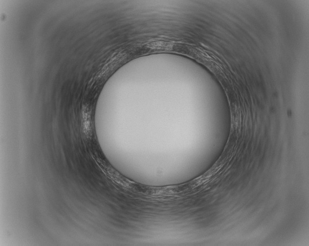 X0000071921154200607070913