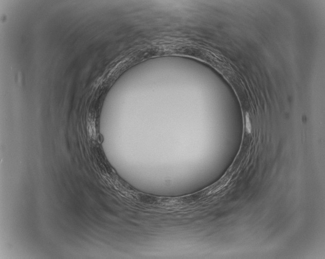 X0000071921155200607070913