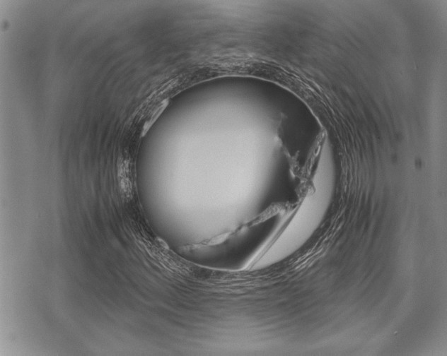 X0000071921156200607070913