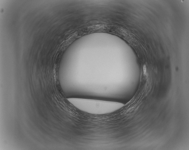 X0000071921203200607070911