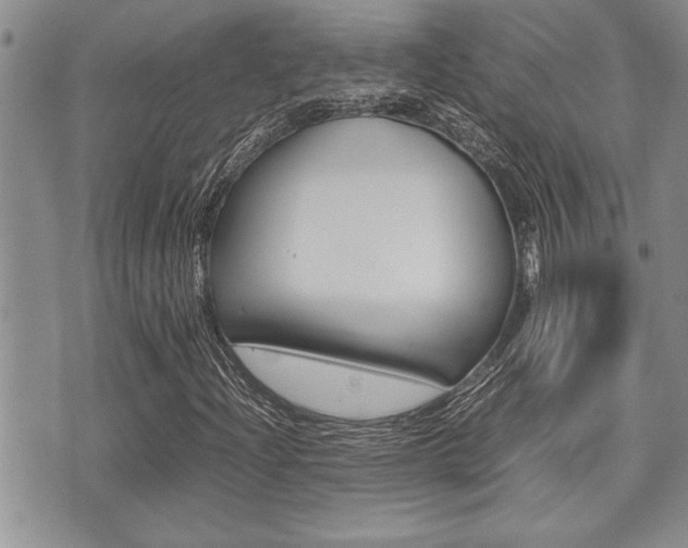 X0000071921204200607070911