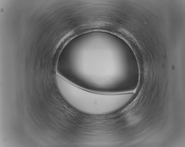 X0000071921210200607070911