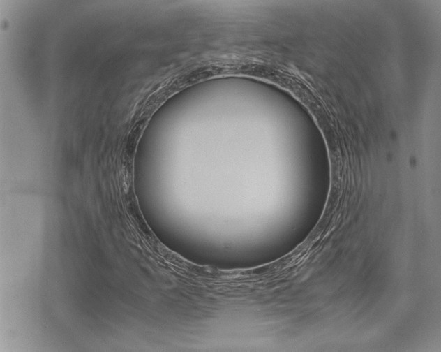 X0000071921253200607070911