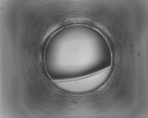 X0000071921261200607070911