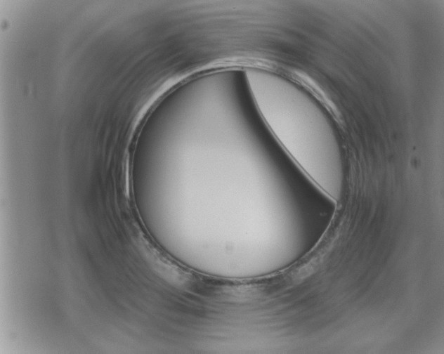 X0000071921276200607070911
