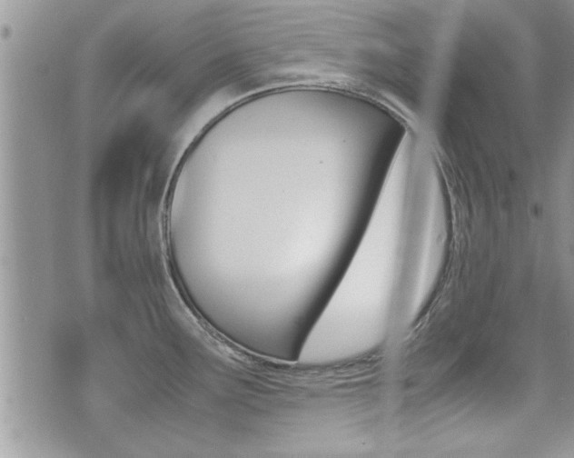 X0000071921291200607070911