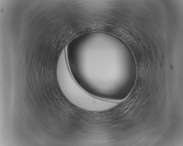 X0000071921298200607070910
