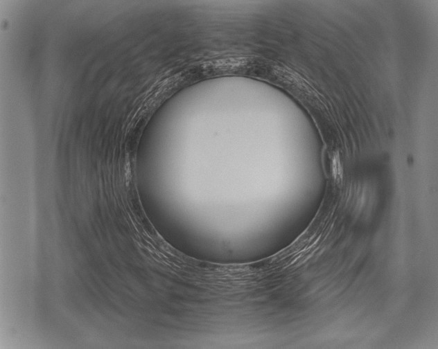 X0000071921299200607070910