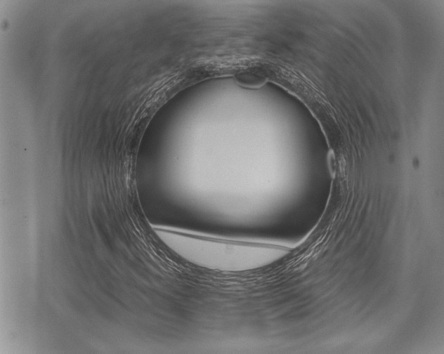 X0000071921300200607070910