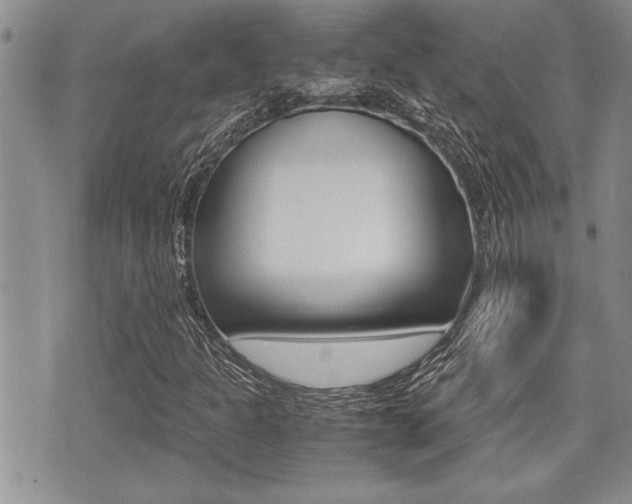 X0000071921301200607070910