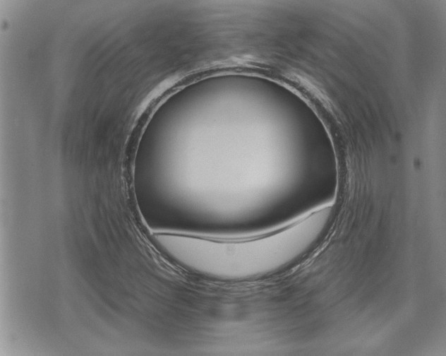 X0000071921308200607070910