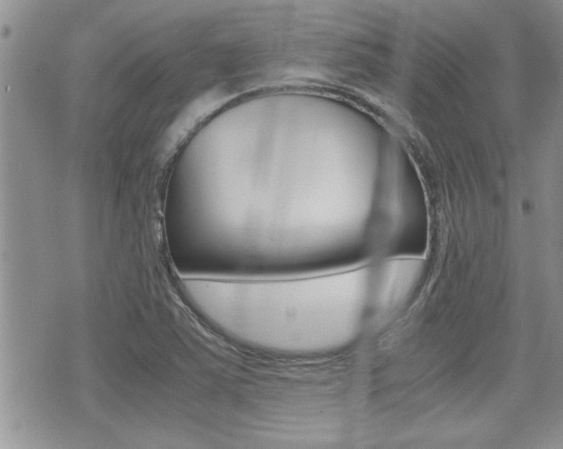 X0000071921363200607070909