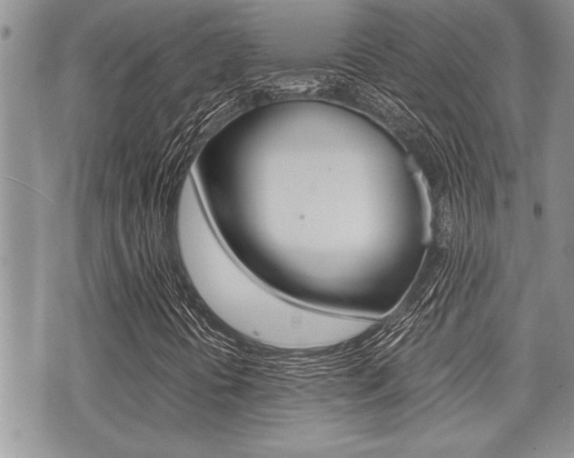 X0000071921394200607070908